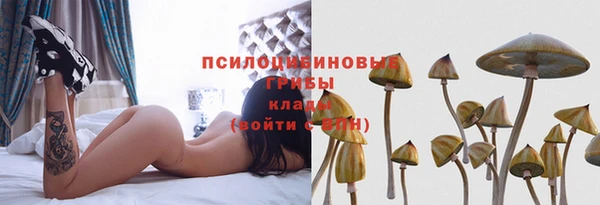 метадон Алексеевка