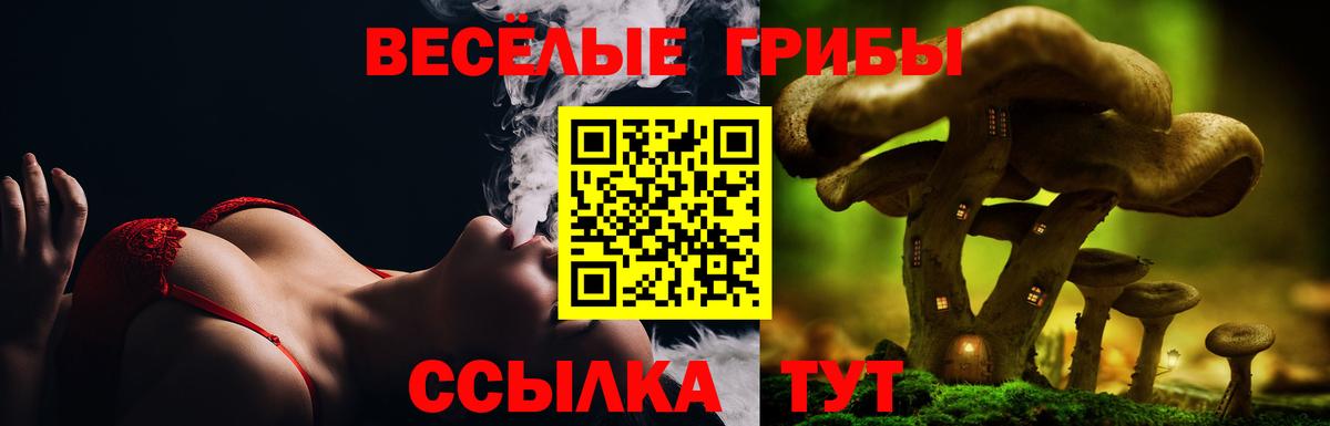 Галлюциногенные грибы MAGIC MUSHROOMS  Псилоцибиновые грибы Psilocybine cubensis  где купить наркоту  Самара  Вход с VPN 