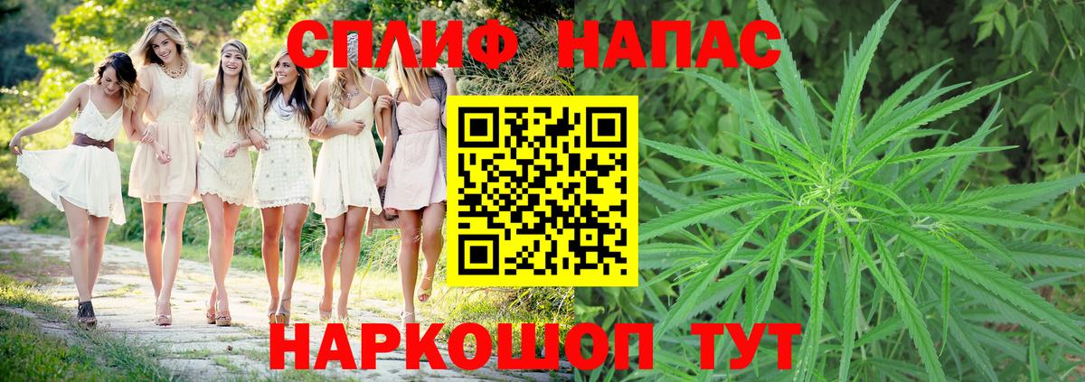 Бошки марихуана тримм  Конопля THC 21%  Самара  Вход с VPN  Конопля White Widow 